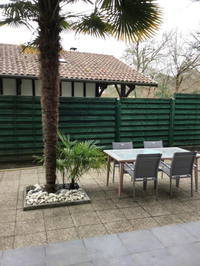 Agréable appartement à 1km du centre de La Teste-de-Buch Exterior foto